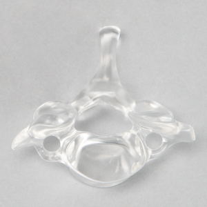 Vertebra C7, Solid Clear Plastic