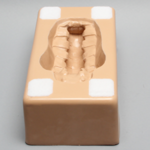 Lumbar Holder, Base Unit L1-Sacrum