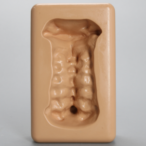 Spine Holder, Anterior C1-C7