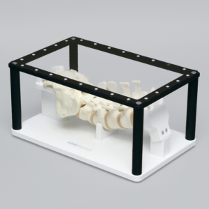 Posterior Lumbar Holder