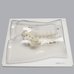 Lumbar Holder, L1-Sacrum, Clear Shell Torso