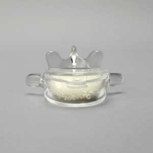 Vertebra, L5, With Replaceable Insert, 4.5mm Pedicle Entry Sites, Transparent Cortical