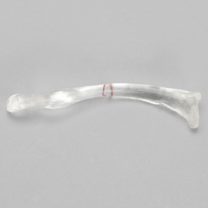 Clavicle with Scribed Fracture Line, Solid Clear Plastic