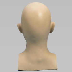 Cervical Spine, Encased Partial Head