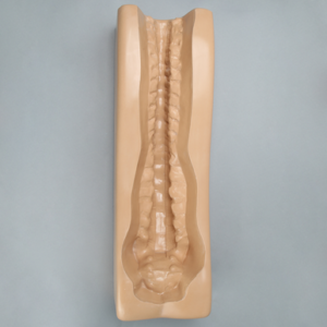 Spine Holder, Posterior T1-Sacrum