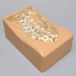 Spine Holder Set, L1-Sacrum