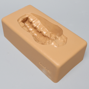 Spine Holder - L1 to Sacrum