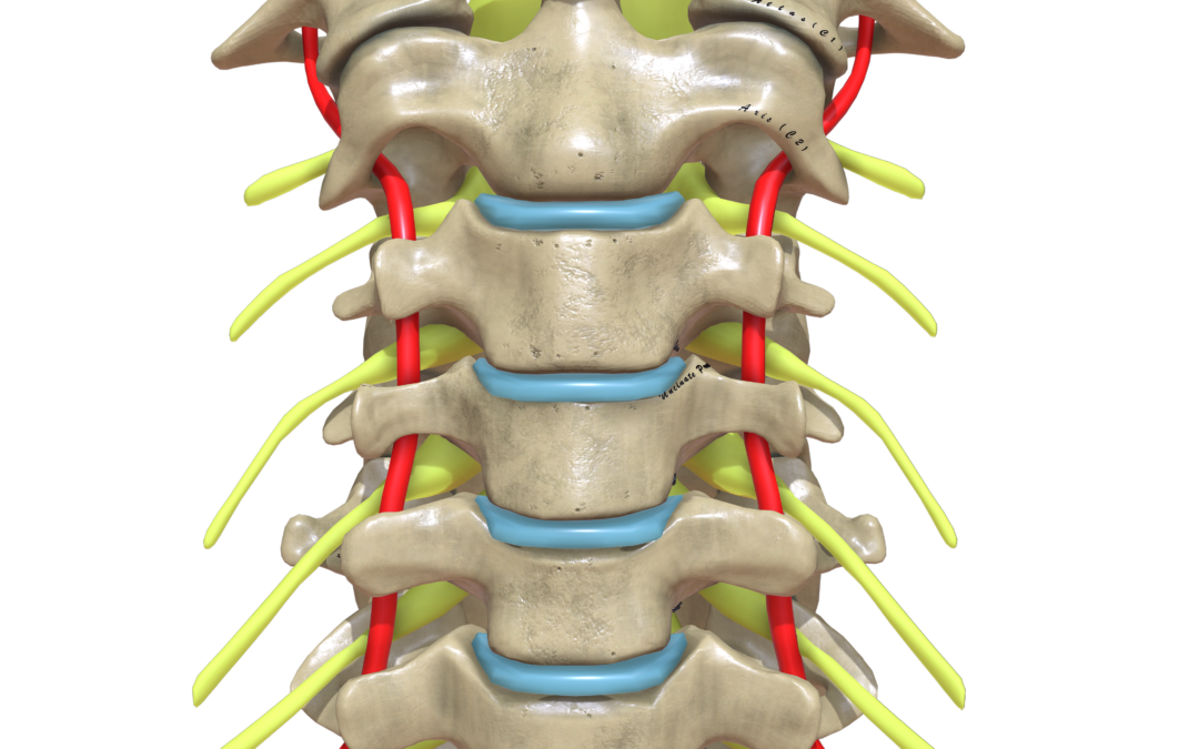 Cervical Spine – Anterior Discectomy & Fusion