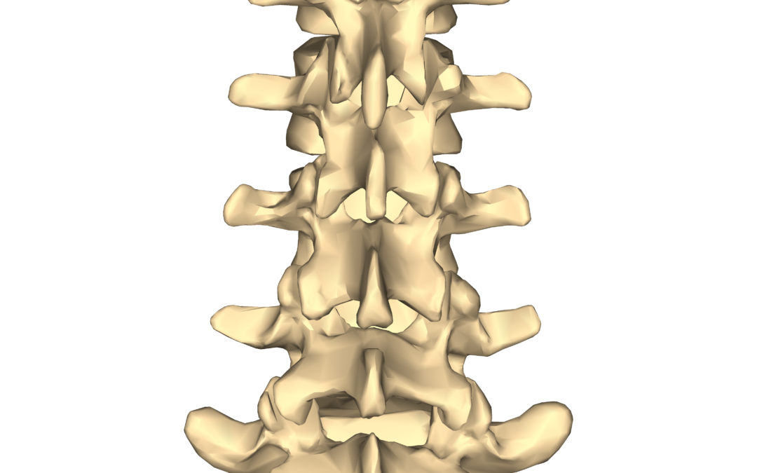Cervical Spine – Posterior Fixation